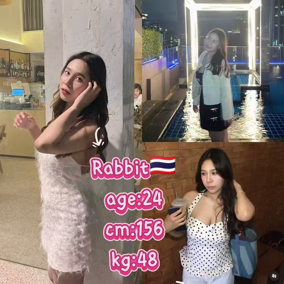Rabbit